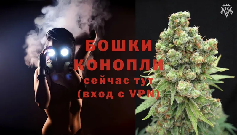 Конопля OG Kush  что такое наркотик  блэк спрут ссылки  Дятьково 